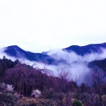 雲海も見られそう