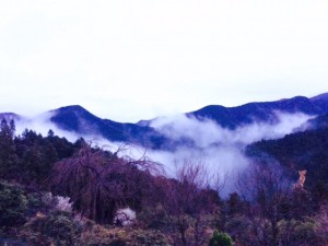 雲が手に届くようです 