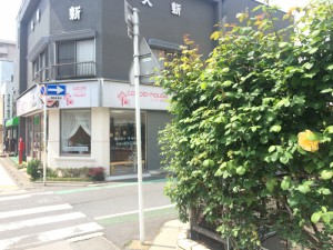 熊谷市末広の秘かな人気の薔薇の垣根