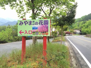 四季折々の美しいが楽しめる　みやまの花園