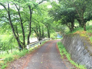 す～と気持ちいい 木の香りでいっぱいだ