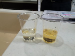 イソジンの実験。右が水素水。左が水道水。イソジン（活性酸素）に水素水を注ぐと透明に！