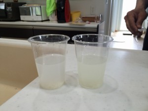 お米の実験。左が水道水。右が水素水。右の方が白く濁っています。水素水の細かい粒子がお米の汚れなどをきっちりと落としてくれます