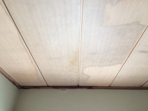 見上げると、和室の天井板に雨漏りの跡が・・・