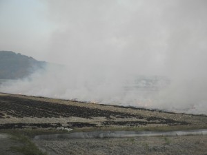 家の周りの田んぼで行われる「野焼き」。煙の臭いが凄まじい・・・