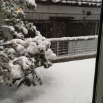 雪対策必須！外構計画で取り入れたいこと