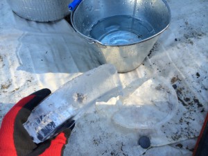 とっても寒いので、バケツの水が、こんな厚みで凍ってしまいます！
