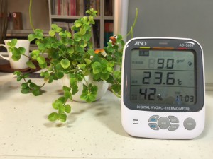 ただ今事務所の室内環境　温度２３．６℃　湿度４２％　絶対湿度９．０ｇ/㎥ 心地よく　インフルエンザウィルスも活動しづらい環境です！