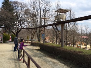 牛やカピパラ、馬やヤギなどたくさんいました。もちろん餌やりも楽しくできます