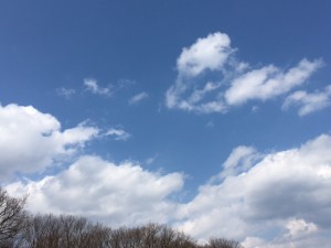 まさかの晴天！気持ち良い休暇です