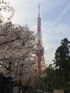 桜と東京タワー 日本って美しい