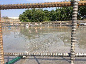 水を張った状態の基礎 気持ちよさそうだね！