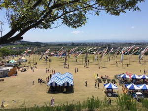 群馬県のおおた八王子山公園の芝桜・ポピーまつり　グランドいっぱいに沢山の鯉のぼり　と地元の商工会の出店が出店していて賑やかでしたよ