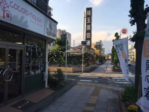 埼玉県信連さんの生垣の薔薇がみごとなんです