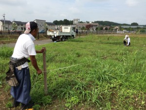 地道なチェック。大事なチェック