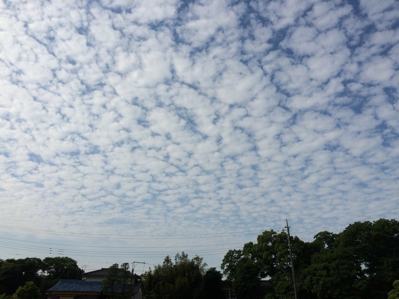 鱗雲 何かの予兆？