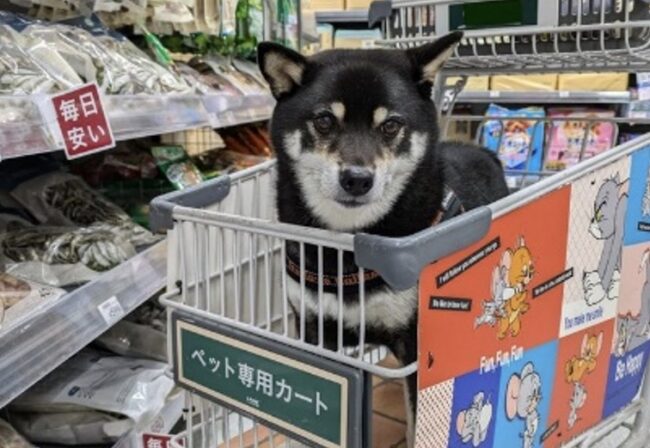 事例のサムネイル