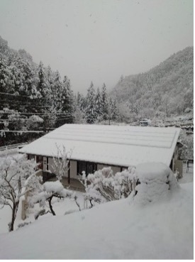 事例のサムネイル