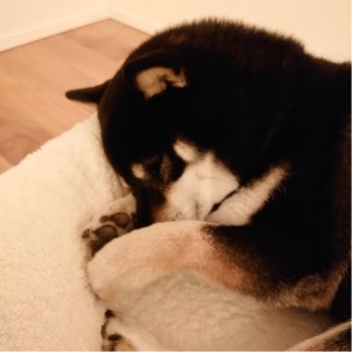 事例のサムネイル